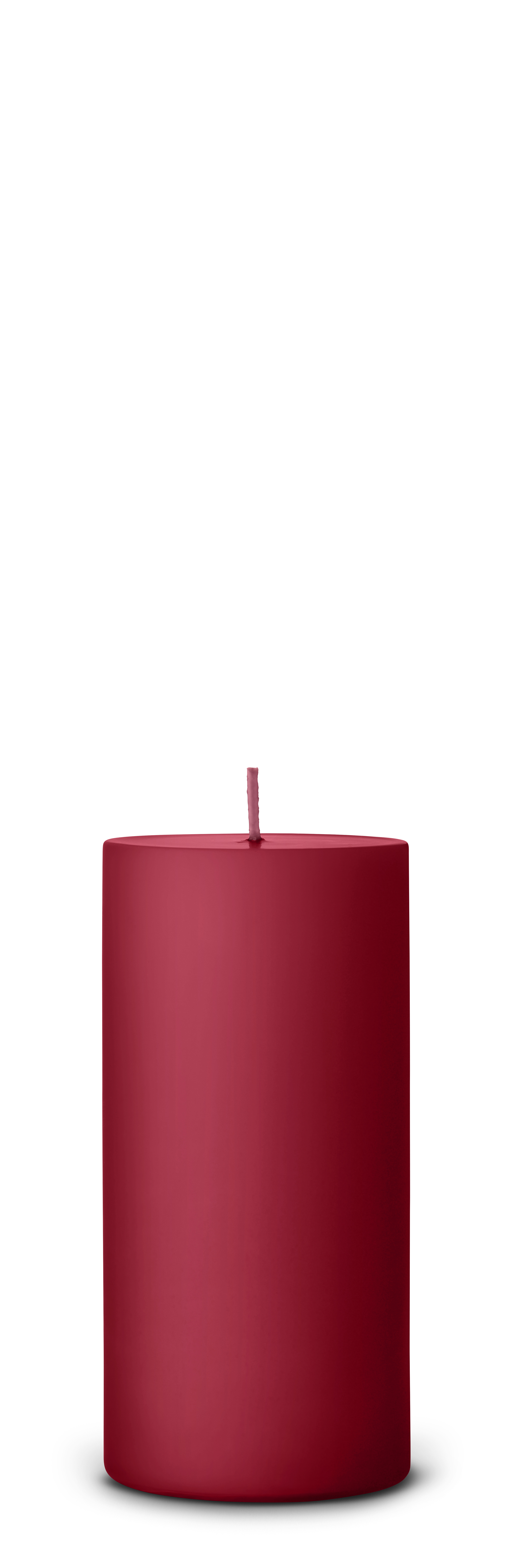 winter berry
